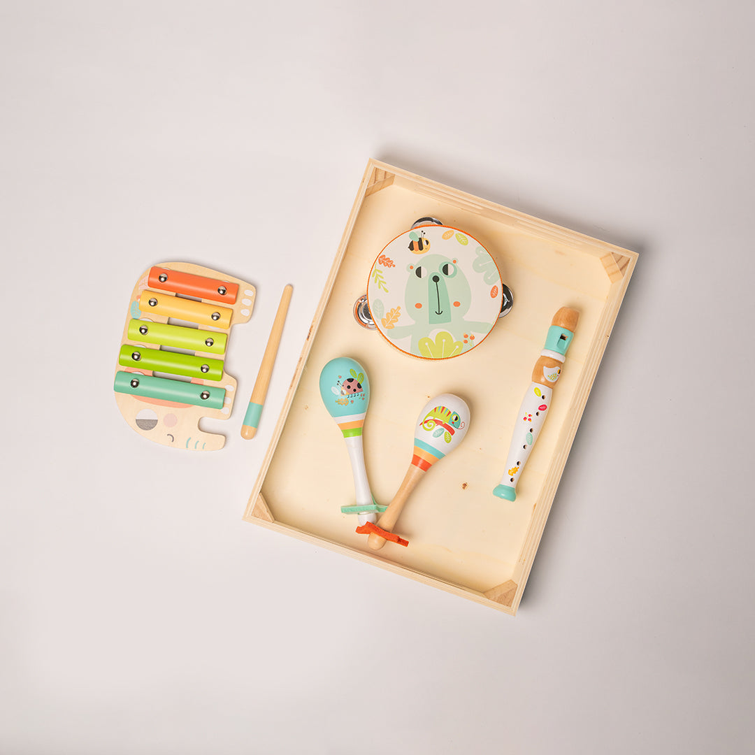 Mi primer kit de música Nekito, set de 4 instrumentos
